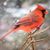 Paula Champagne LeBlanc's profile image