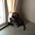 Sherry Booth Dearborn's profile image
