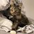 Lorri Bridges-Fread's profile image