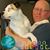 Kevin Hauff's profile image