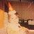 Roger McBride's profile image