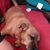 Eric Baker's profile image