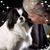 Linda Collins's profile image