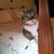 Evamarie Zatir Fernandes's profile image