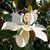 Brenda Joyce Jerome's profile image