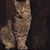 Lesley Gore's profile image