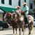 Buddy Northrup's profile image