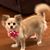 Paige Dyess Reed's profile image