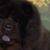 Connie Zich's profile image