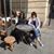Shohreh Filsoufi's profile image