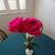 Judy Crute's profile image