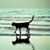 Rene Hauck's profile image
