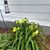 Joy Kosak's profile image