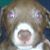Georgean Cook's profile image