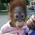 Nora Gonzales's profile image