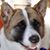 Cookie Shortt's profile image