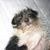 Julie Kelso's profile image
