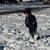 Lisa Scolari Stagg's profile image