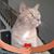 Cathy Schmelter's profile image