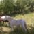 Rita Branam's profile image