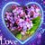 Roxanne Porter's profile image