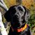 Cheryl Theriault Tetreault's profile image