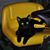 Joe Smith's profile image