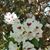 Donna Guarrera's profile image