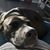 Kimberly Walden's profile image