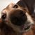 Helen Thinnes Silverman's profile image