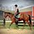 Katie Egbert-Piscitelli's profile image