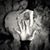 Donna Anderson Snider's profile image