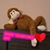 Cynthia Senechal's profile image