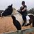 Amanda Brueschke's profile image