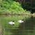 Rhonda Klatt's profile image