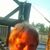 Jim Trout's profile image