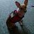 Billie Pickett's profile image