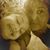 Sabrina Paige Willoughby's profile image