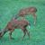 Pat Petty Moore's profile image