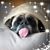 Melanie Moldero's profile image
