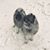 Amalia Dalla Pozza's profile image