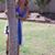 Deanna Miller's profile image