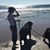 Laura Bailey's profile image
