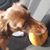 Lori Thress Smith's profile image