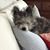Susan Noe's profile image