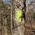 Carrie Fitts's profile image