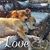 Jennifer Fralia Carnes's profile image