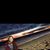 Antonia Nino's profile image
