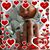 Janice Frerichs's profile image