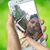 Dayani Randeniya's profile image